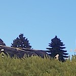 Marketing Image 3